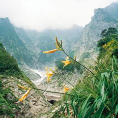ȕցHՂ